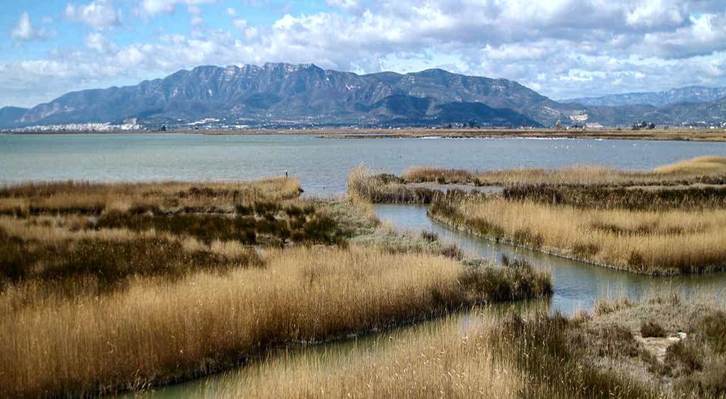 Mi Apartamento En El Delta Del Ebro Делтебре Екстериор снимка