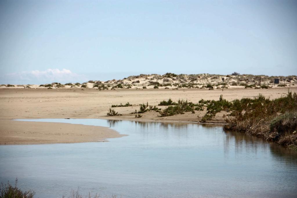 Mi Apartamento En El Delta Del Ebro Делтебре Екстериор снимка