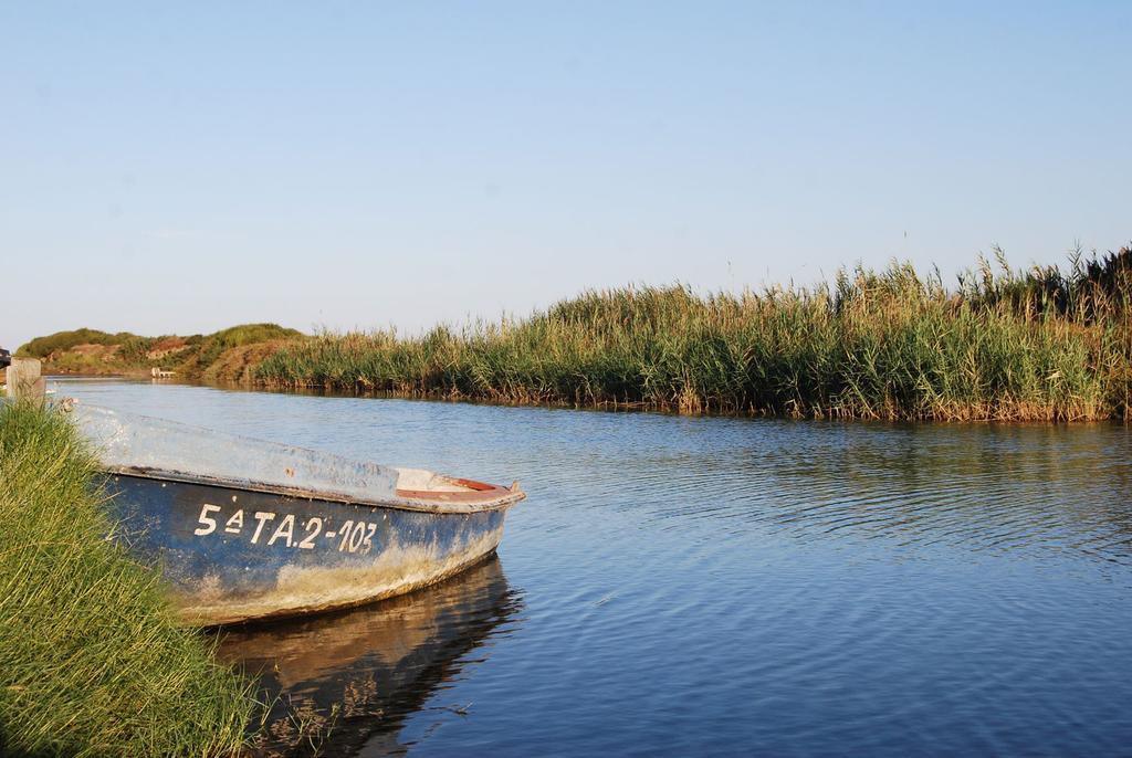Mi Apartamento En El Delta Del Ebro Делтебре Екстериор снимка
