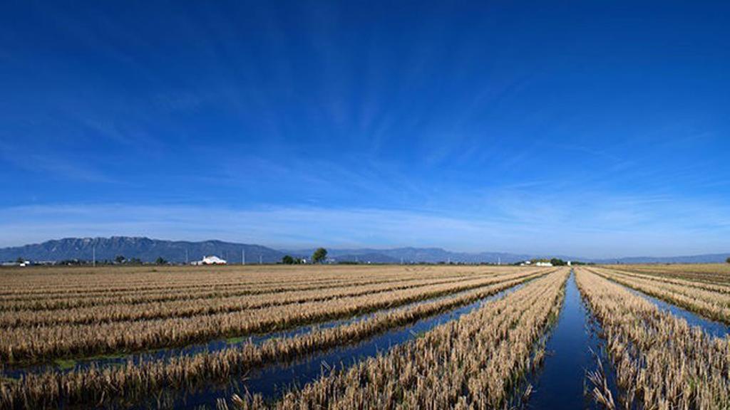 Mi Apartamento En El Delta Del Ebro Делтебре Екстериор снимка