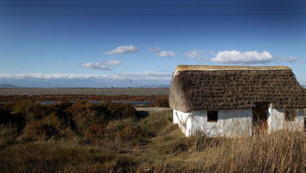 Mi Apartamento En El Delta Del Ebro Делтебре Екстериор снимка
